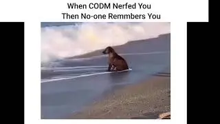 CODM Memes