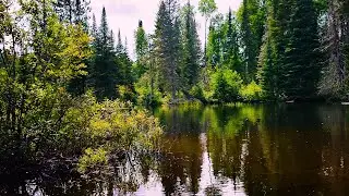 Silent Waterway &ndash; A Journey to Inner Freedom