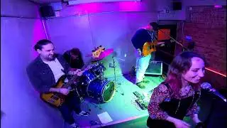 The Colour Tree at Up The Junction 9th November 2024