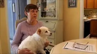 Stepping On Fall Prevention Program