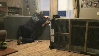 Cat-proofing our couch