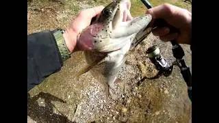 Gottrup Put and Take