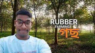 Margherita Area&rsquo;s Biggest Rubber Farming ? | Assam 2026 