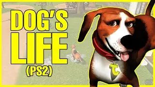 PLATINANDO Dog's Life (PS2) #1 - RetroAchievements