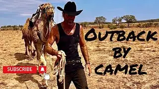 Outback by camel, Central Australia