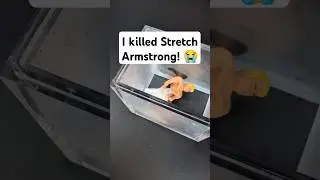 Stretch Armstrong DID NOT Survive the Vacuum Chamber 😭 #shorts #science