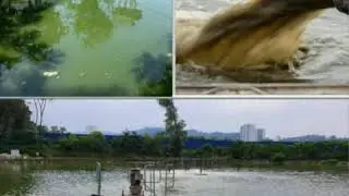Biological wastewater treatment for WWTP, STP, septic tank, activated sludge tank