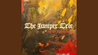 The Juniper Tree
