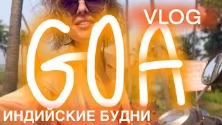 Влог из Гоа. Арамболь. Мандрем. Ашвем. Моя каждодневная индийская жизнь