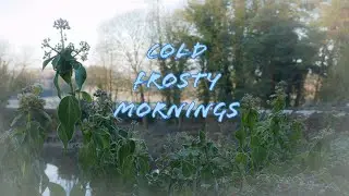 Cold frosty morning