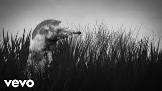 Of Monsters and Men - Numb Bears (Official Lyric Video)