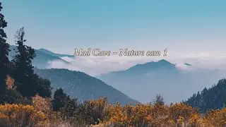 Mad Cave - Nature Cam 1