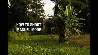 Learning manuel mode for *BEGINNERS*