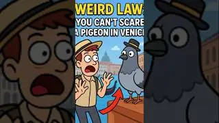 Weird Law: You Can&rsquo;t Scare a Pigeon in Venice?! #shorts
