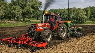 New Farm Journey Begins 🌾 | Wheat Harvest + Soybean | Farming Simulator 25 | Time Lapse#1