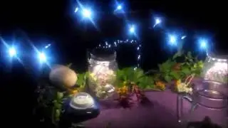 Summer Solstice 2013 Magick
