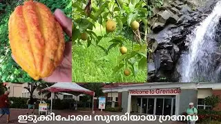 ജാതികൃഷിയിൽ വമ്പന്മാരായ ഗ്രനേഡയിൽ | GRENADA