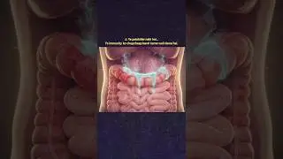 Azathioprine: The Silent Assassin 💀 | Immunity Suppressing Drug Explained