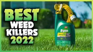 Top 7 Best Weed Killers You can Buy Right Now [2023]