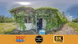 Abandoned Building in Sopchoppy, Florida (8K 360VR)