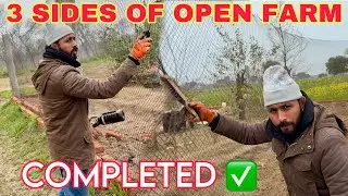 3 Sides of Open Farm Completed ✅ | Painting Net + Farm Work Vlog | Mr Asad 