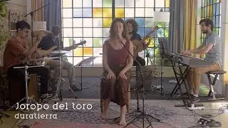 Francisco Pilatti | Tesis - Sesi&oacute;n en vivo | Joropo del toro (Duratierra)