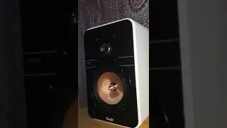Teufel Ultima 20 🔊 Who Dat Boy!