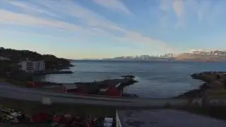 TJELD FLYBY