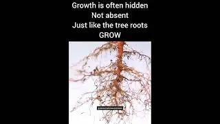 Unseen Strength: The Power of Hidden Growth