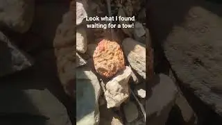 Beautiful find! #thefinders #teamrockit #rockhounding