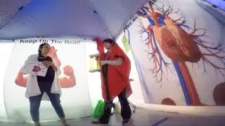 Heart