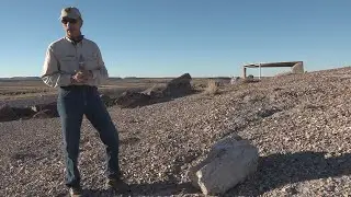 Explore the Crystal Forest Trail at the Petrified Forest National Park