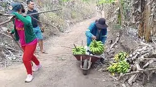 Mais um dia de trabalho no sítio