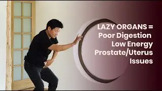 Move Your Organs for Better Digestion and Energy Flow | Master Zhen Hua Yang