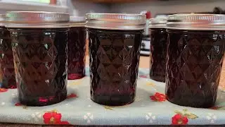 Making Grape Jelly From JUICE