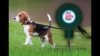 Review: 3SixtyFun Pet Tie-Out
