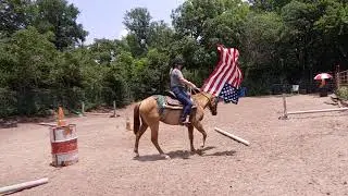 Colorado and the Obstacles course - colt starting