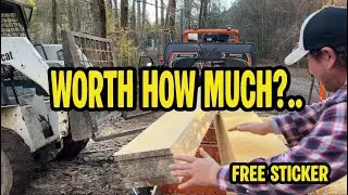 This Ugly Pine Log Was Worth HOW MUCH?! (Do the Math) WIN a Sticker