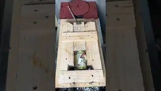 Can Crushing-007