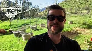Beer Profile - Chaparral - Ojai Valley Brewery