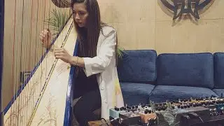 Walrus Audio NAMM 2020 Booth Demo: Lara Somogyi