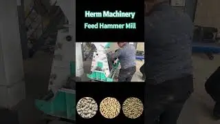 Feed Hammer Mill, Grain Hammer Mill for Sale - Herm Machinery #hammermill #hammermill machine