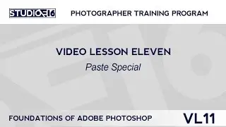 VL11 Paste Special