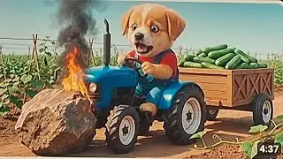 Cute dog emotinal story # kanika kvp vlog # sunday video daily # emotional # story # dog # ai video 
