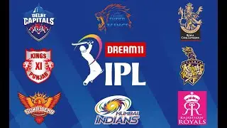IPL 2020  T2Points Table | C# Programming | API Call | Mock API Example