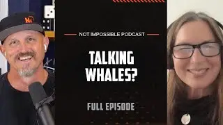 Can Whales Help Us Talk to Aliens? with the SETI Team | Not Impossible Podcast