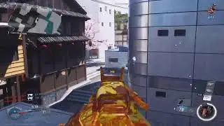 IW Black Sky Grind! 6 Weapons Left