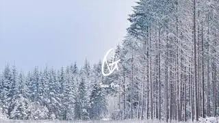 Vlad Gluschenko - Snow Path