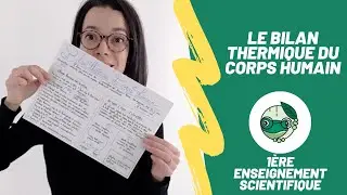 Bilan thermique du corps humain - 1ère enseignement scientifique - Madame SVT