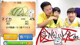 ★「究極の選択！『食べる？食べない？』食べないと死ぬ～！」★game「If you do not eat it will die」★